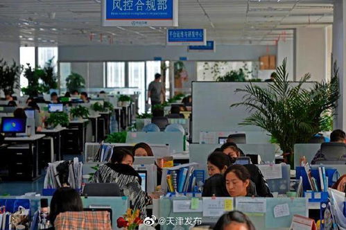 中企云鏈 以創新金融科技服務安心扎根，以信息技術咨詢服務舒心發展