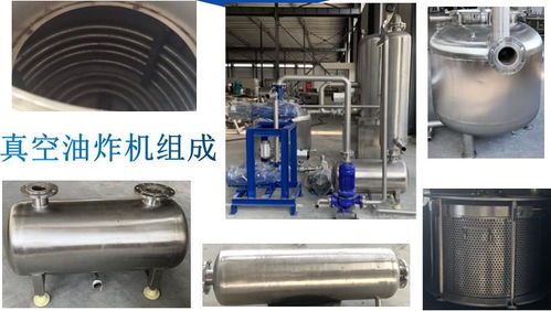 香椿芽與瓜子真空油炸設備采購全攻略 諸城市強大機械廠實力解析